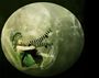AliCe DaNs La LuNe