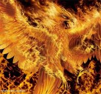 PhoeNix-faShiOn