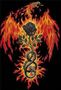 PhoeNix-faShiOn
