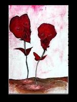 rose--noir