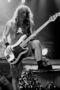 Steve-Harris