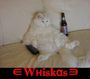 Whiskas