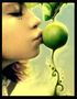 ~ Apple ~