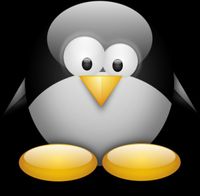 le petit pingouin