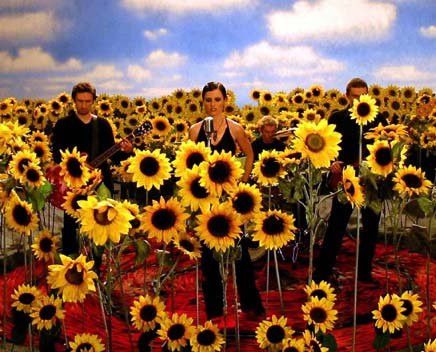 The Cranberries