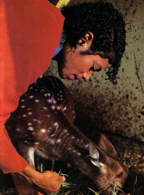 Michael Jackson