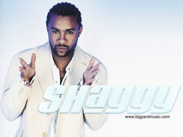 Shaggy