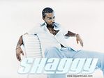 Shaggy