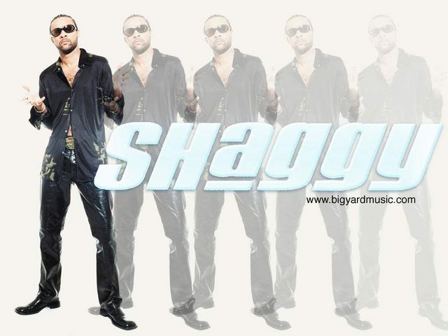 Shaggy