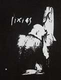 The Pixies
