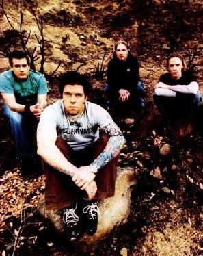 12 Stones