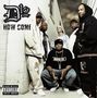 D12 (Dirty Dozen)