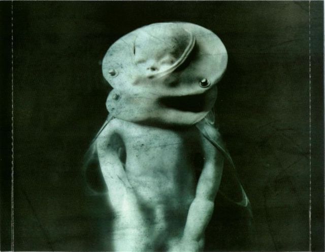 Disturbed