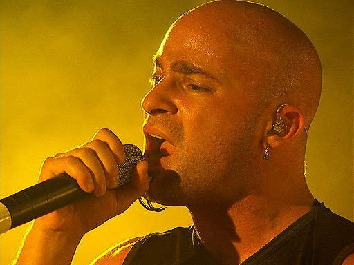 Disturbed