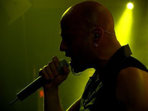 Disturbed