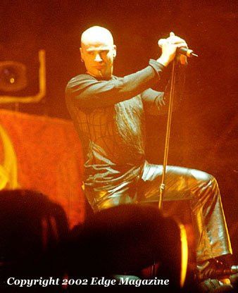 Disturbed