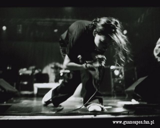 Guano Apes