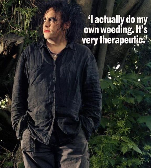 The Cure