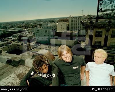 Yellowcard