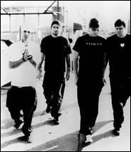 Box Car Racer