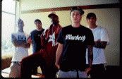 Box Car Racer