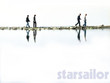 Starsailor