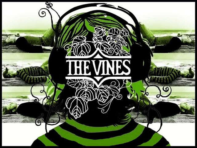 The Vines