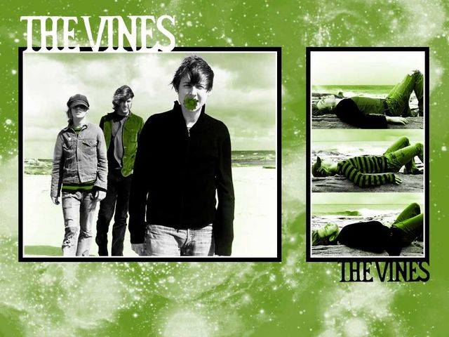 The Vines