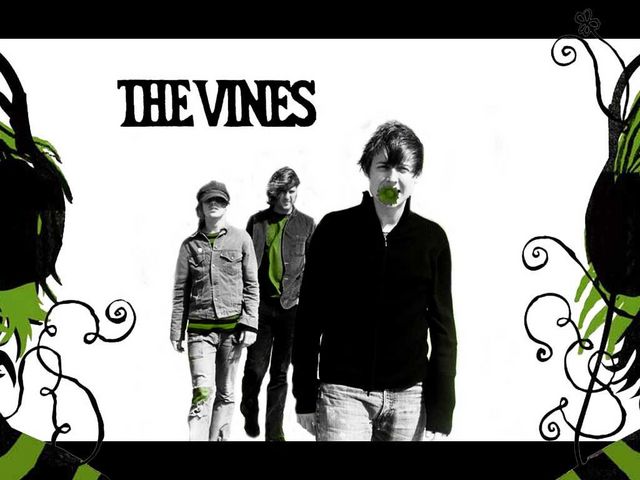The Vines