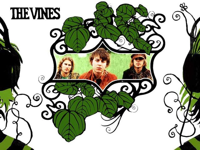 The Vines