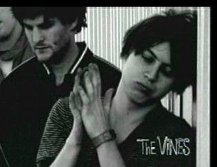 The Vines