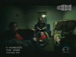 The Vines