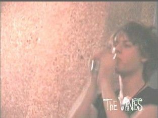 The Vines