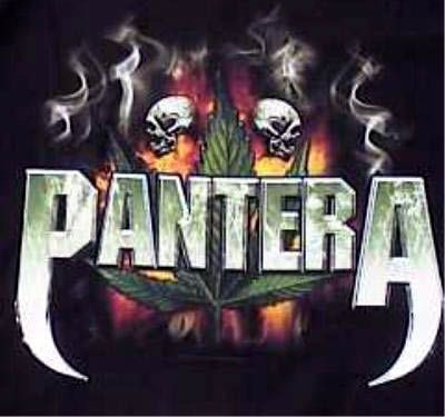 Pantera