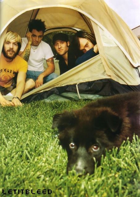 The Used