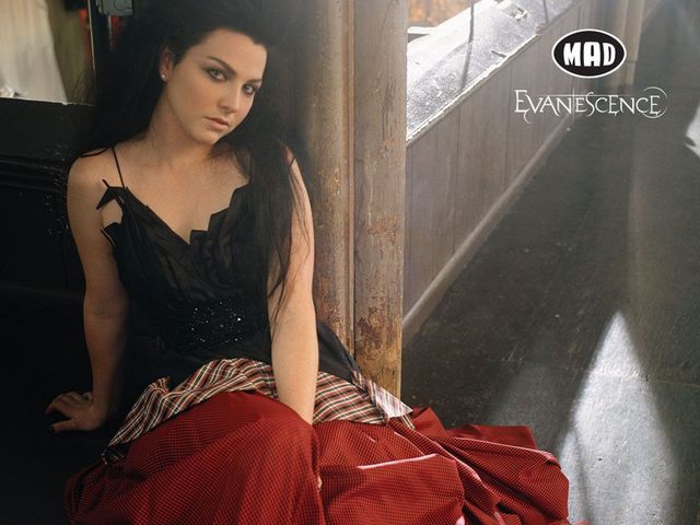 Amy Lee