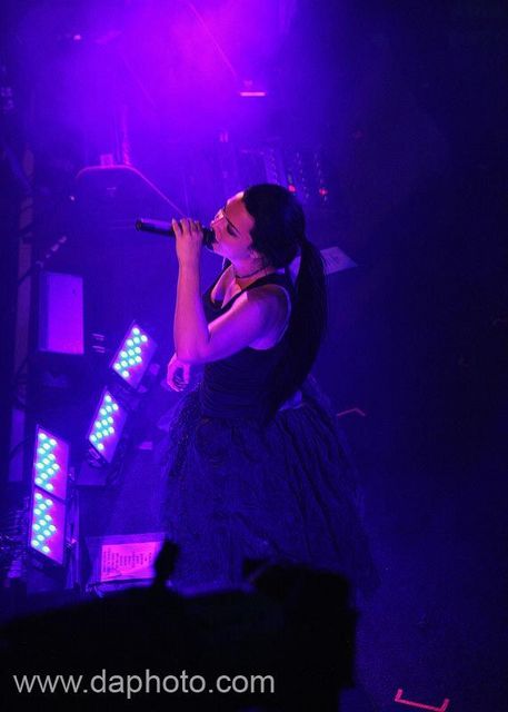 Amy Lee