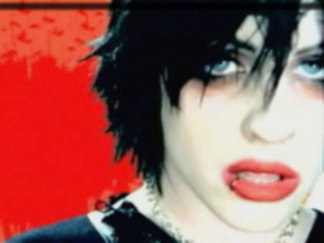 The Distillers