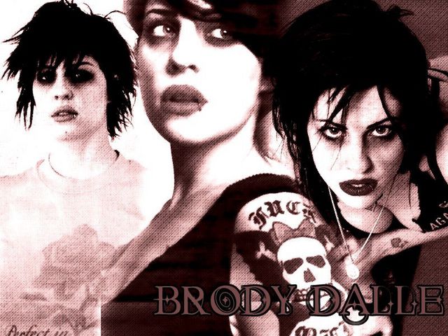 The Distillers