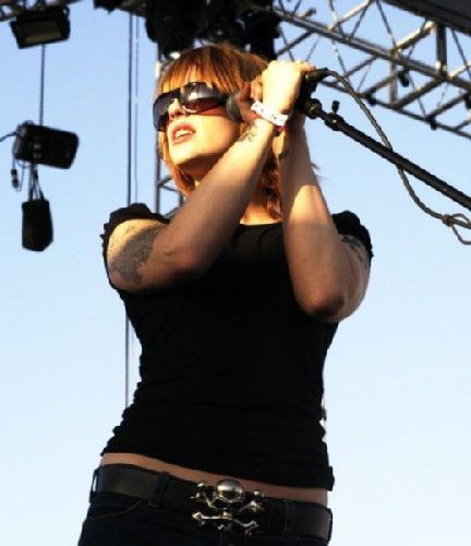 The Distillers