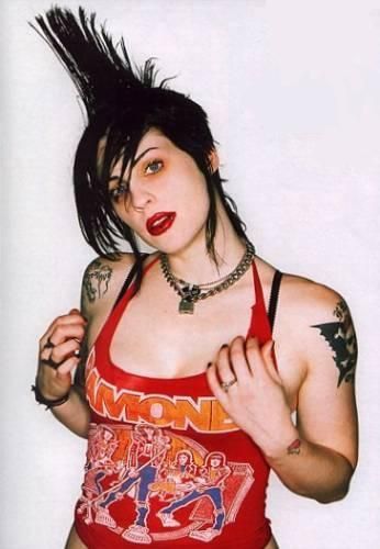 The Distillers