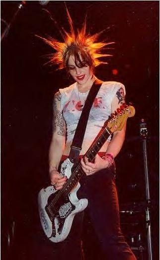 The Distillers