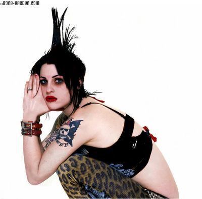 The Distillers
