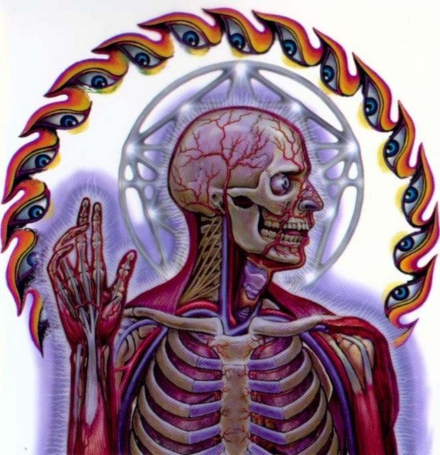 Tool