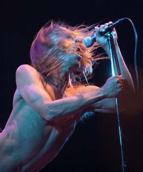The Stooges
