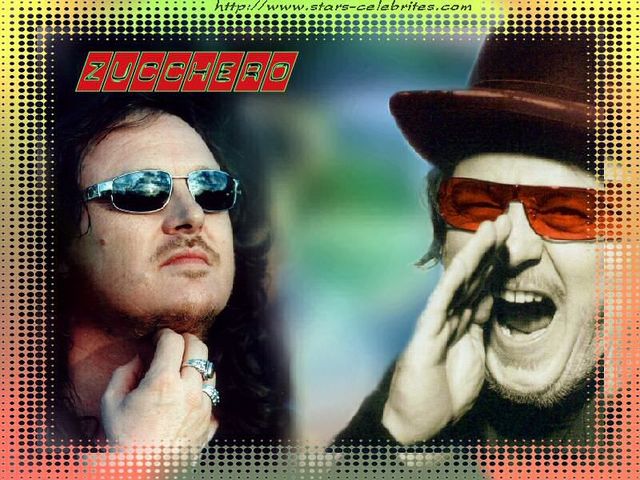 Zucchero