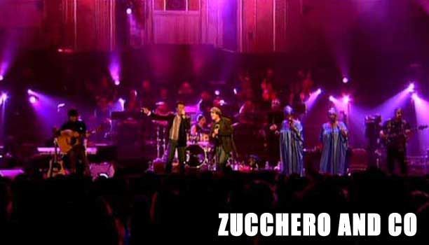 Zucchero