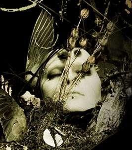 Otep