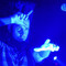 Wayne Static