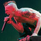 Scott Weiland